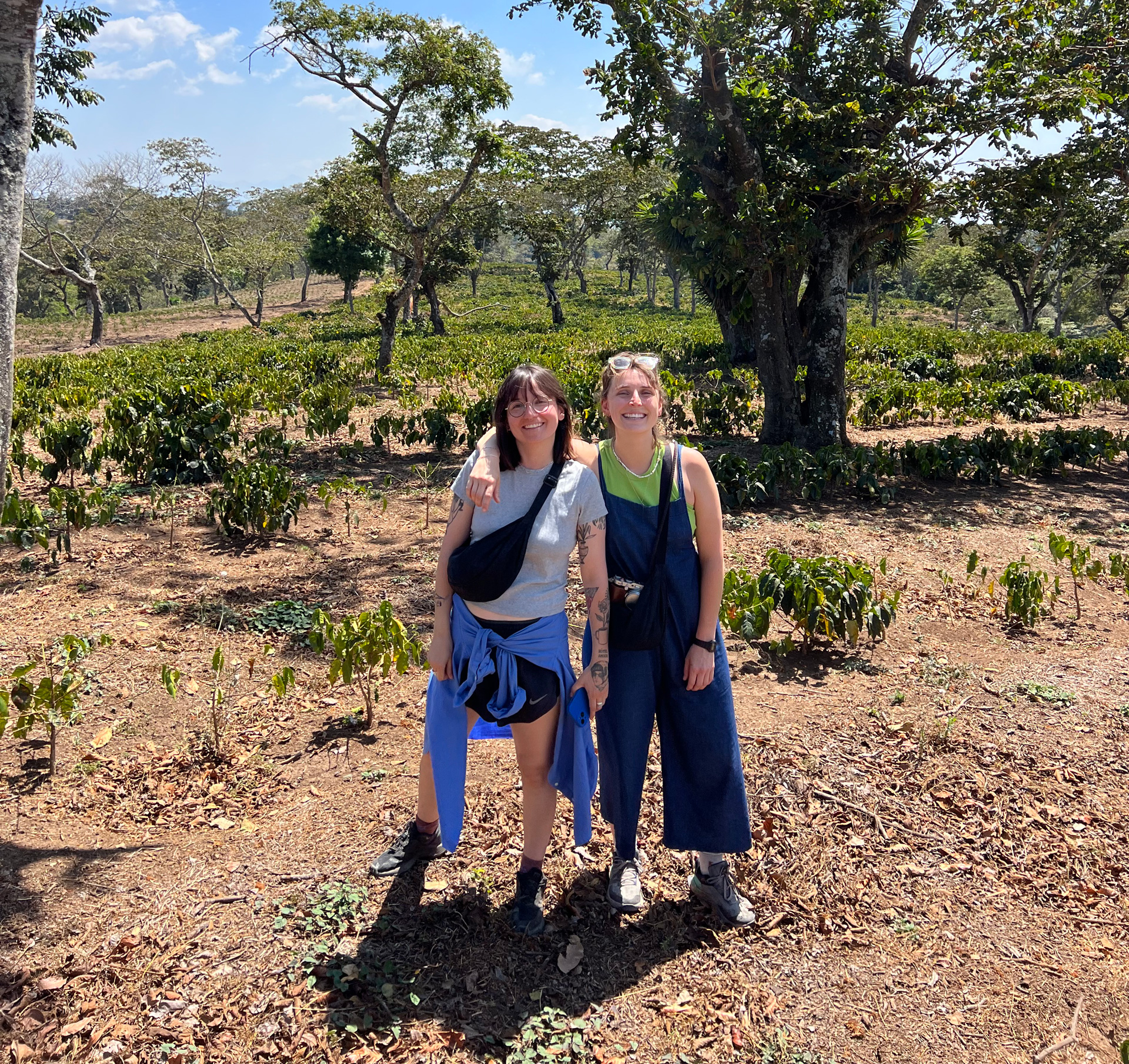 2am fondatrice champ de café