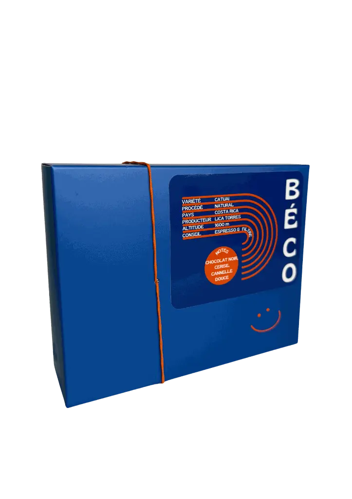 Document A4 Devis Facture Massage Thérapie Moderne Marron et Beige.webp